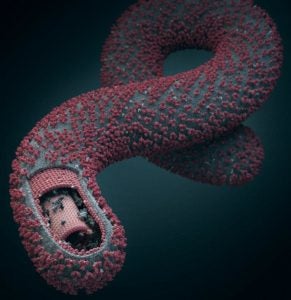 Model-of-Ebola-by-German-artist