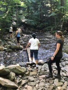 Resident hike in the Shenandoah