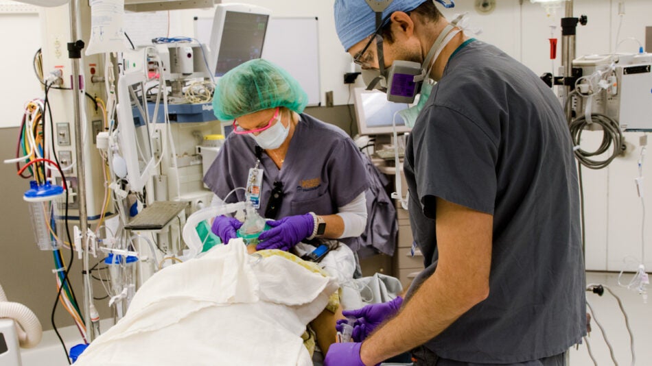 University of Virginia CRNAs provide anesthesia to a patient.
