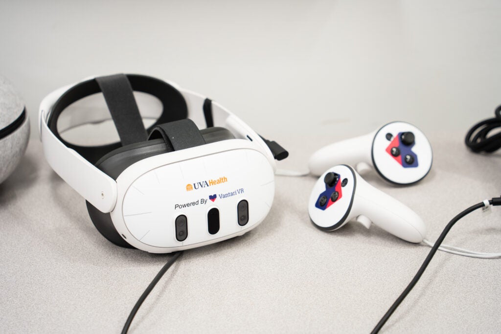 VR Headset and Controllers