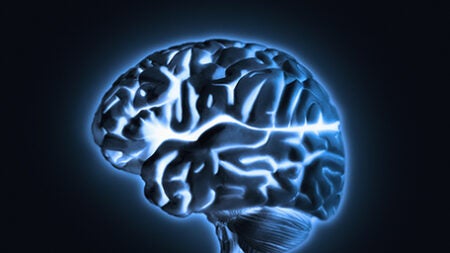 Human brain model with blue glow, studio shot