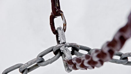 four chains linked at a common point