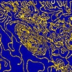 Gene Structure, blue background with yellow lines/ dye