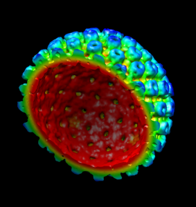 Research in Microbiology 