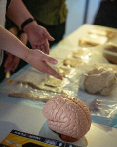 Brain Art