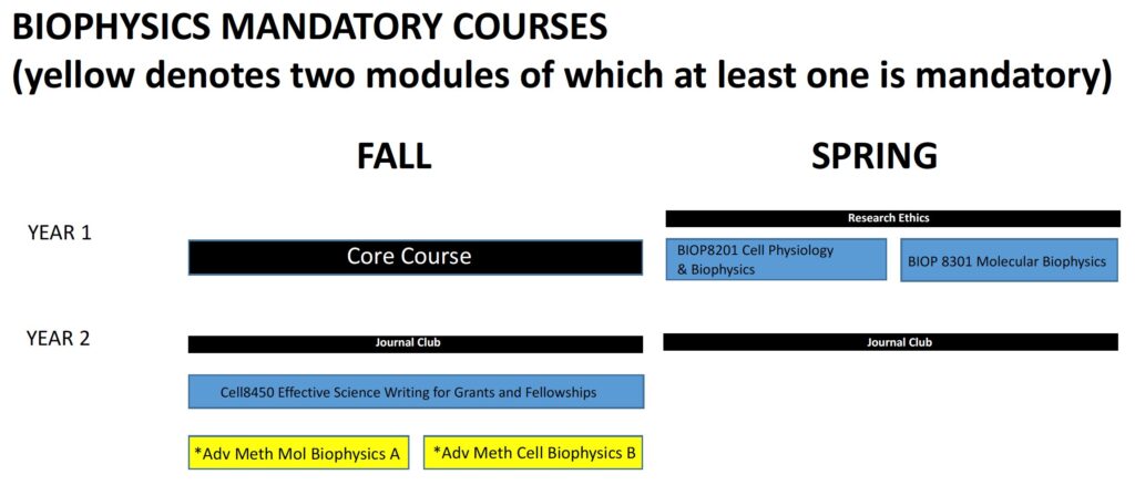 Biophysics Mandatory Courses graph