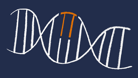 illustration of gene mutations 