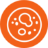 CBIO