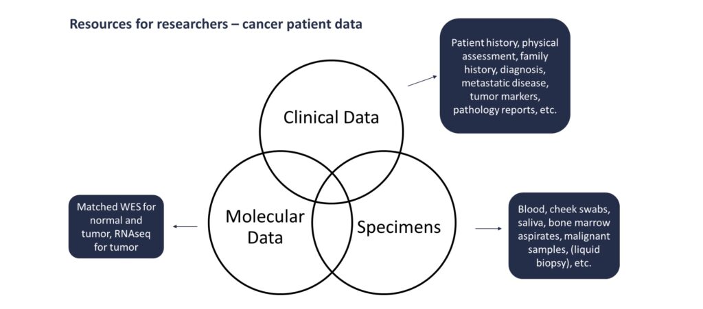 Graphic titled “Resources for Researchers – cancer patient data.” At center, a Venn diagram shows three overlapping circles labeled Clinical Data, Molecular Data and Specimens. An arrow emerges from each circle pointing to a corresponding text box. The arrow from the Clinical Data circle points to a text box reading “Patient history, physical assessment, family history, diagnosis, metastatic disease, tumor markers, pathology reports, etc.” The arrow from the Molecular Data circle points to a box reading “Matched WES for normal and tumor, RNAseq for tumor.” The arrow from the Specimens circle reads “Blood, cheek swabs, saliva, bone marrow aspirates, malignant samples, (liquid biopsy), etc.