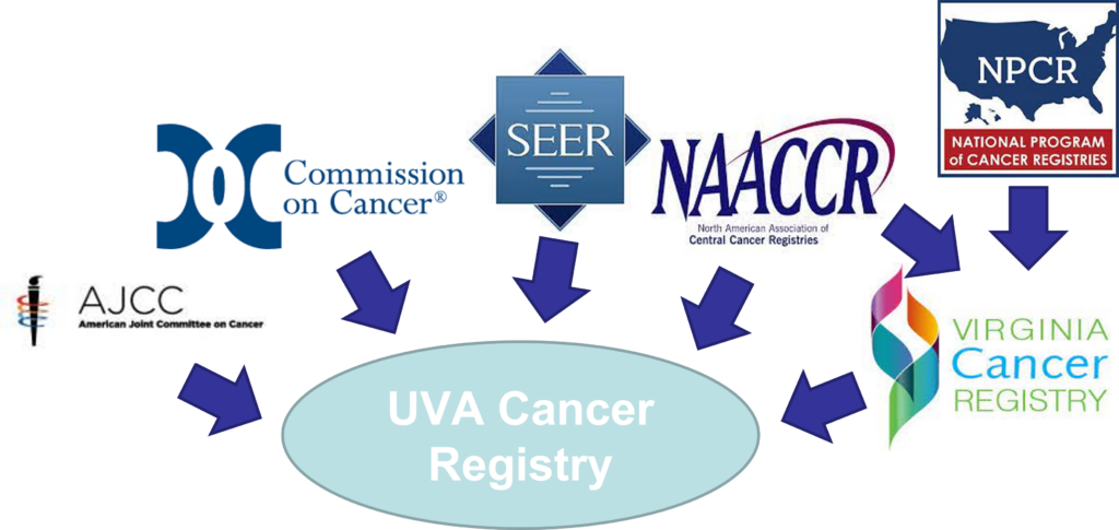 This image shows an oval at the bottom labelled UVA Cancer Registry. There are 5 arrows that point to this oval, each arrow stems from a separate network. From left to right, they are: AJCC, American Joint Committee on Cancer, COC, Commission on Cancer, SEER, NAACCR, North American Association of Central Cancer Registries, and the Virginia Cancer Registry. A sixth arrow points from NAACCR to the Virginia Cancer Registry. A seven arrow points from NPCR, National Program of Cancer Registries to the Virginia Cancer Registry.