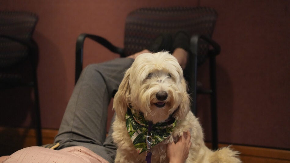 A therapy dog joined UVA Comprehensive Cancer Center team members at the Phenomenal Women Award Presentation and Lunch and the R3: Rest, Reset, Restore – Stress Management Session.