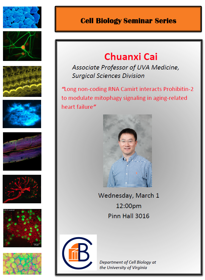 Cell Biology Seminar Series: Chuanxi Cai @ Cell Biology Conference Room, Pinn 3016