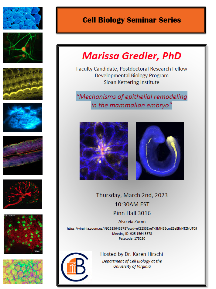Faculty Candidate Seminar: Marissa Gredler @ Cell Biology Conference Room, Pinn 3016