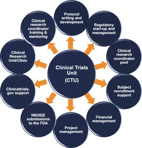 Clinical Trials Unit services diagram