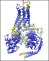MEMC structure
