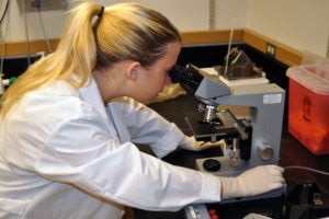 Scientist working with a microscope