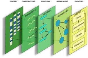System Genetics Graphic