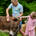 children at a petting zoo