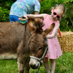 children at a petting zoo