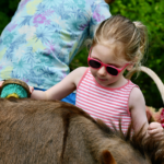 children at a petting zoo
