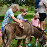 children at a petting zoo