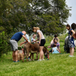 children at a petting zoo