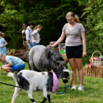 children at a petting zoo