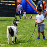 children at a petting zoo