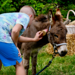 children at a petting zoo