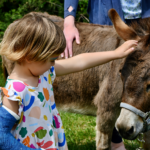 children at a petting zoo