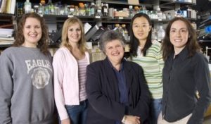 Photo of Shupnik Lab