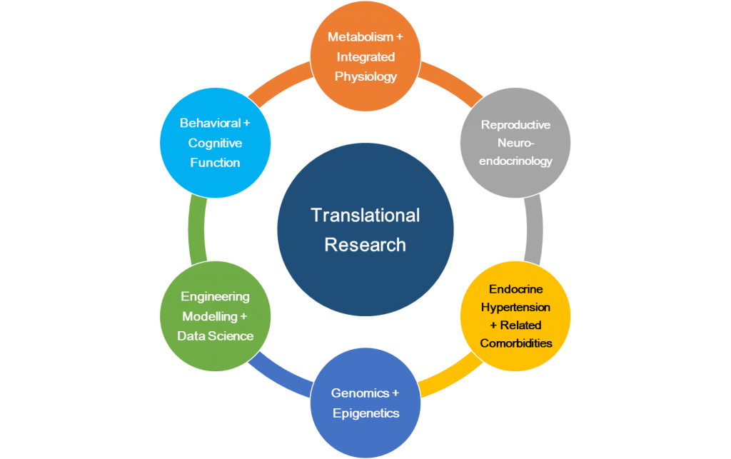 Translational Research Diagram
