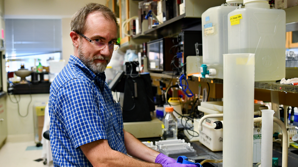 Dr. Thurl Harris Lab in the UVA School of Medicine