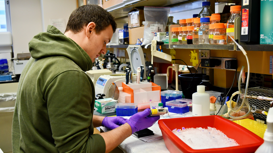 Dr. Thurl Harris Lab in the UVA School of Medicine
