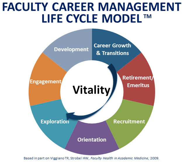 An icon that shows each of stages of a faculty member's career with a focus on career growth, transitions, and vitality.
