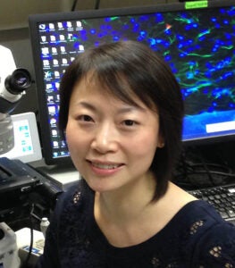 Yingtang Shi