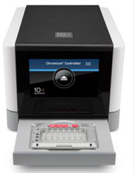 10X Genomics Chromium for single cell isolation