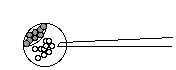bst