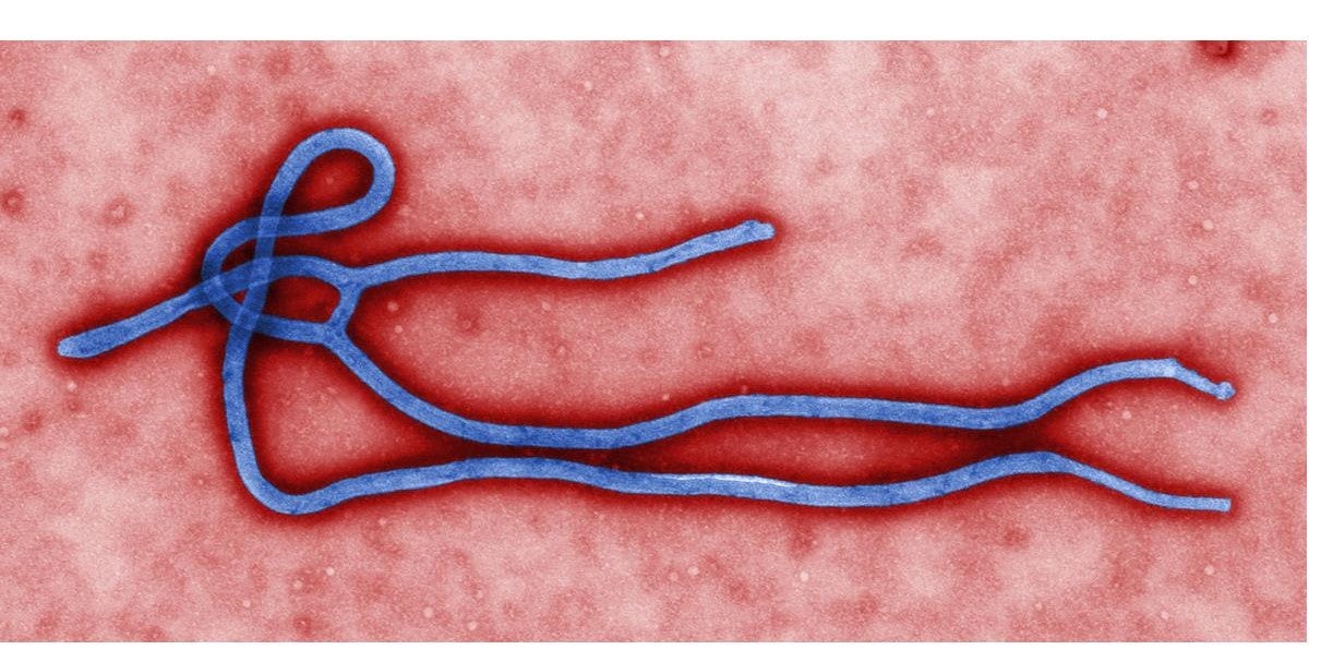 Science In Review - Ebola