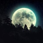 Forest-Moonlight-55_www_FullHDWpp_com_
