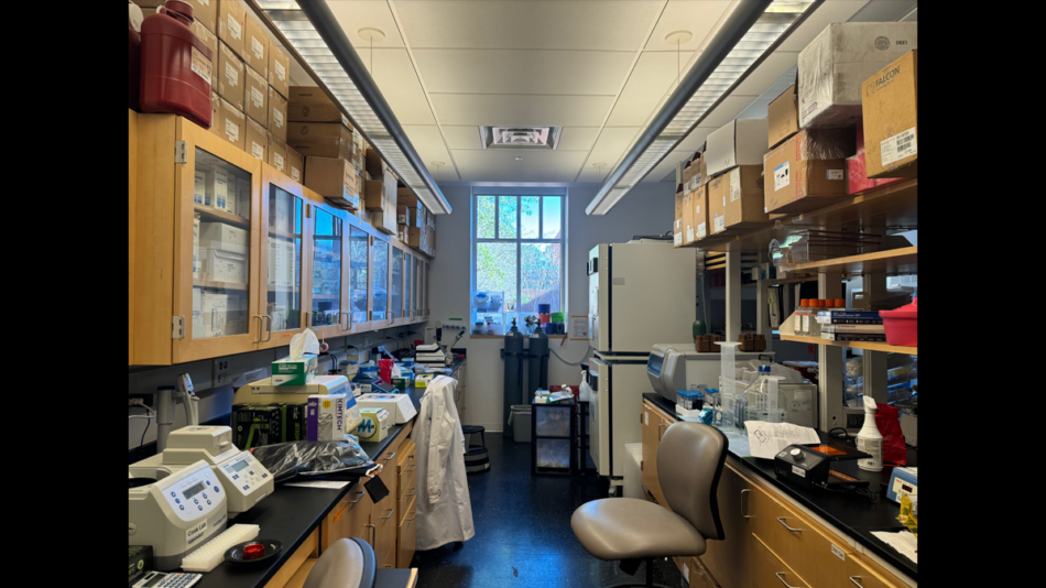Danielle Ryan Cook, PhD