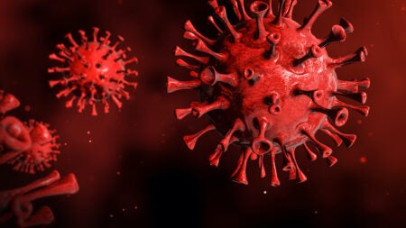 An artist's rendering of the coronavirus responsible for COVID-19.