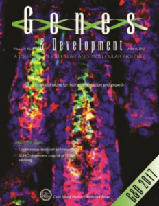2017 cover of Genes and Development