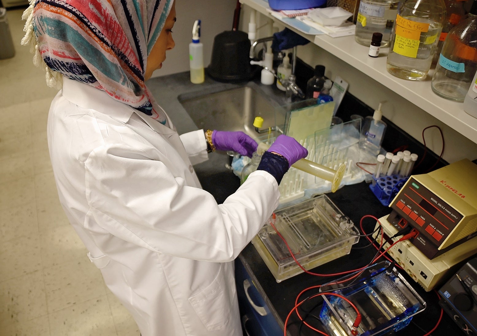 Lab member working in lab
