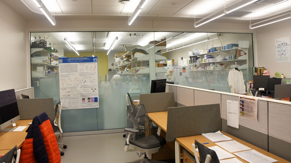 Photo of UVA Lab
