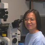 Serena Liu, Ph.D.