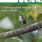 Critical Role for Inflammasome -PNAS Cover Page