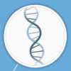 Picture of DNA
