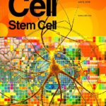 Cell Stem Cell Cover page