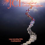 JCI cover volume 122 Issue 11 Cover page